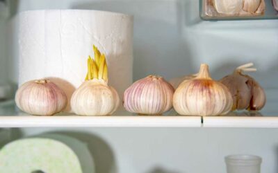 Put a Clove of Garlic in the Toilet Before Going to Bed, You Will Not Regret It