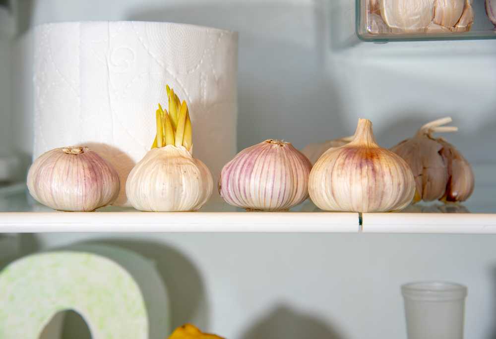 Put a Clove of Garlic in the Toilet Before Going to Bed, You Will Not