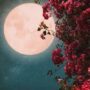 Full Moon will change colour for billions today – here’s when to see it