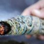 Study Shows How Smudging Sage Does a Lot More Than “Clear Evil Spirits