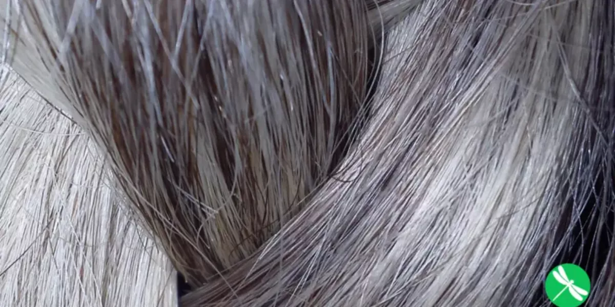 Women Are Ditching Hair Dye For Their Natural Gray Hair In The Coolest Power Move