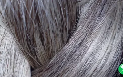 Women Are Ditching Hair Dye For Their Natural Gray Hair In The Coolest Power Move