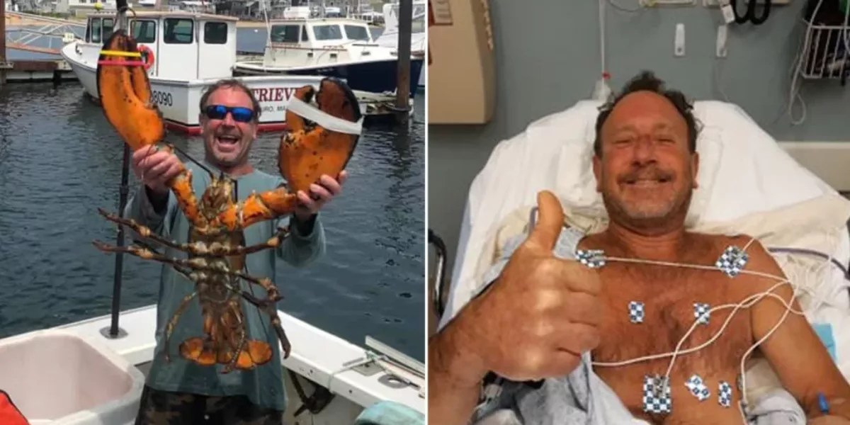 ‘I was completely inside’: Lobster diver swallowed by humpback whale off Provincetown