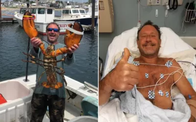 ‘I was completely inside’: Lobster diver swallowed by humpback whale off Provincetown