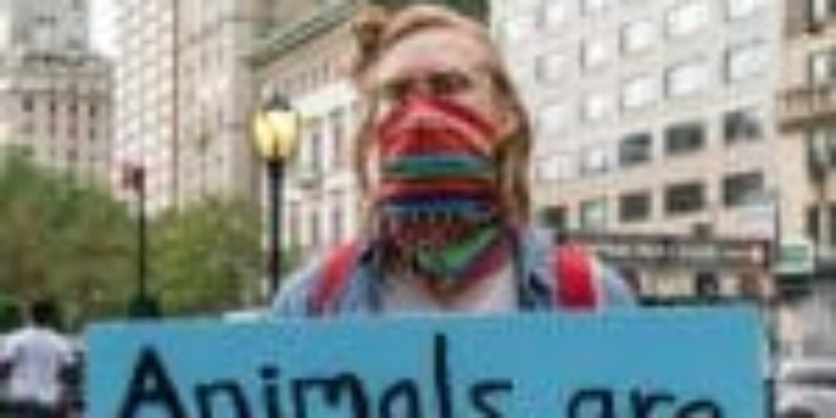 There’s an Anonymous Group That Breaks Into Labs and Farms to Free Animals From Cruelty