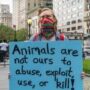 There’s an Anonymous Group That Breaks Into Labs and Farms to Free Animals From Cruelty