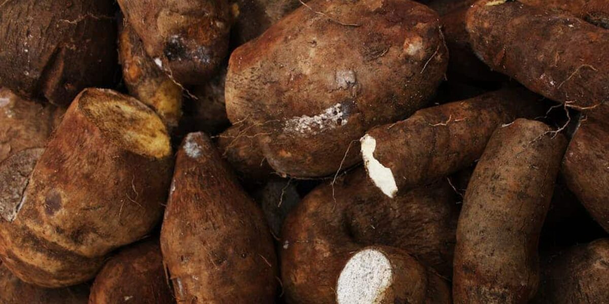 ‘World’s Deadliest Food‘ Kills More Than 200 People a Year, but Millions of People Still Eat It