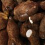 ‘World’s Deadliest Food‘ Kills More Than 200 People a Year, but Millions of People Still Eat It