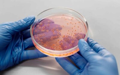 Dysentery Outbreak in Oregon Leaves at Least 40 Sickened
