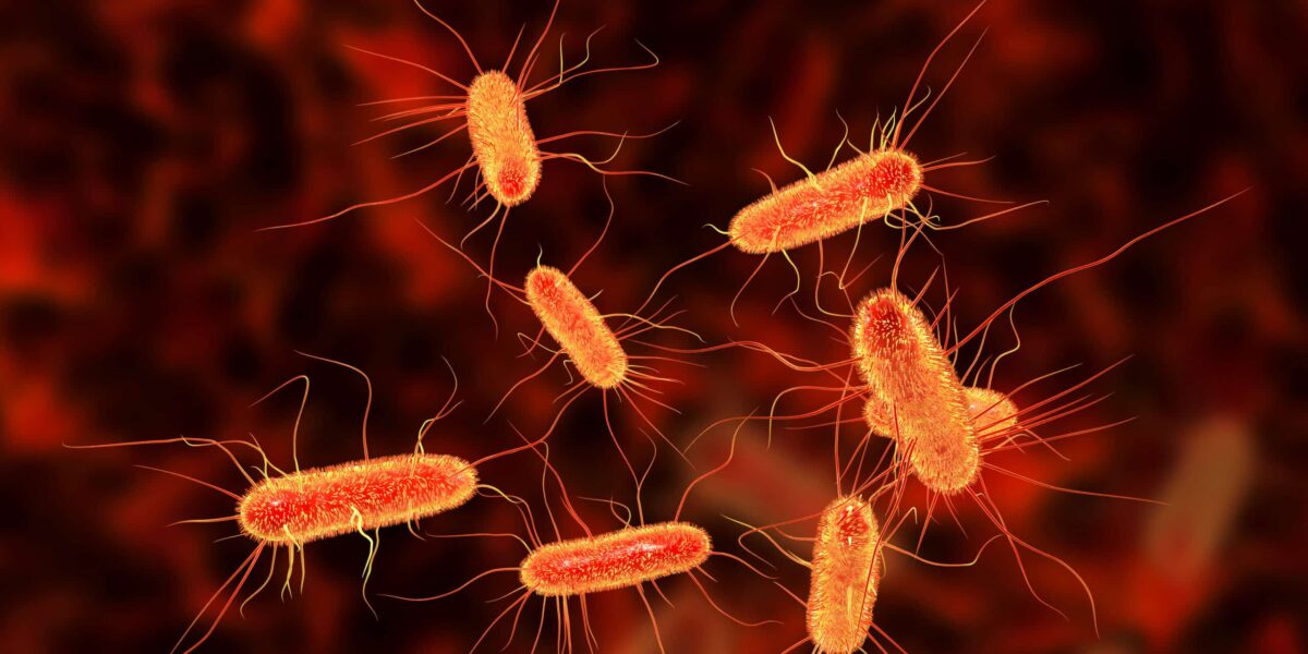 Scientists Have Finally Identified the Bacteria That Trigger Multiple Sclerosis