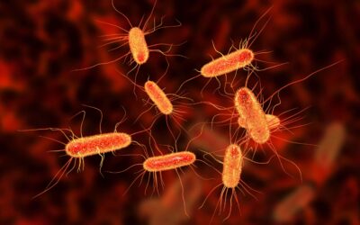 Scientists Have Finally Identified the Bacteria That Trigger Multiple Sclerosis