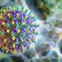 New Virus Discovered in Alabama Raises Pandemic Fears