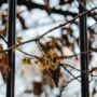 Grab a Bottle of Witch Hazel From the Store. Here Are 10 Brilliant Uses That You Might Not Know