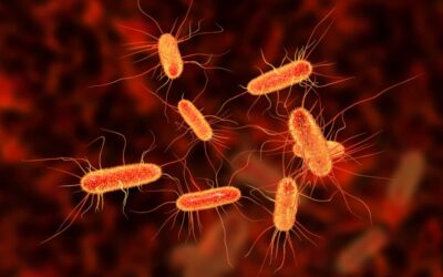 Scientists Have Finally Identified the Bacteria That Trigger Multiple Sclerosis