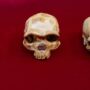 A New Kind of Human Has Officially Been Discovered