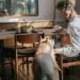 ‘Healthy Man’ Diagnosed With Cancer After Noticing Dog’s Bizarre Behavior Around Him