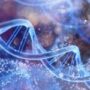 Scientists Just Linked Autism to Neanderthal DNA Found in Modern Humans