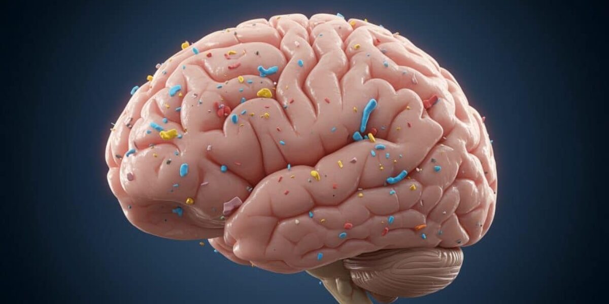 How Microplastics from ultra processed foods may harm your brain and mental health.
