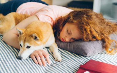 Study Shows Women Sleep Better Next to a Dog Than with a Man