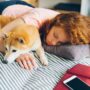 Study Shows Women Sleep Better Next to a Dog Than with a Man