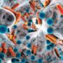 BREAKING: Three people in Maine have active tuberculosis, the world’s deadliest disease