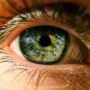 New Infrared Contacts Let You See in the Dark Even With Your Eyes Shut