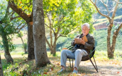 Study Reveals Reading is a Complex, Flexible Brain Process Involving Multiple Interacting Neural Networks