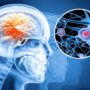 Groundbreaking Nanoparticle Technology Reverses Parkinson’s Disease in Stunning Study