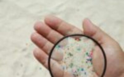 Teens invent device that removes 94% of microplastics using ultrasound technology