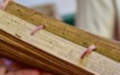 Ancient 9th-Century Garlic and Onion Remedy Wipes Out 90% of Antibiotic-Resistant MRSA in Lab Tests