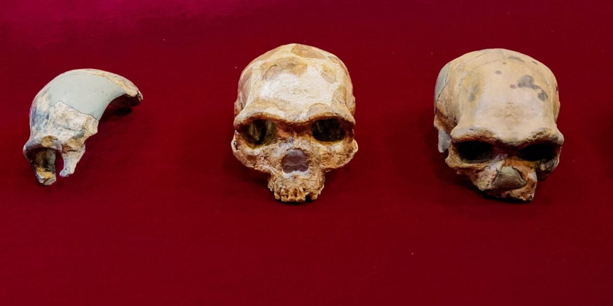 A New Kind of Human Has Officially Been Discovered