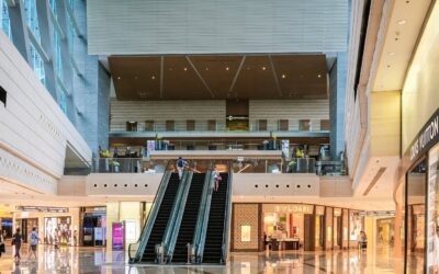 Horror as Cat Fur Vests Sold at Popular Shopping Centre