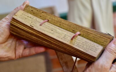 1,000-year-old onion and garlic eye remedy kills MRSA