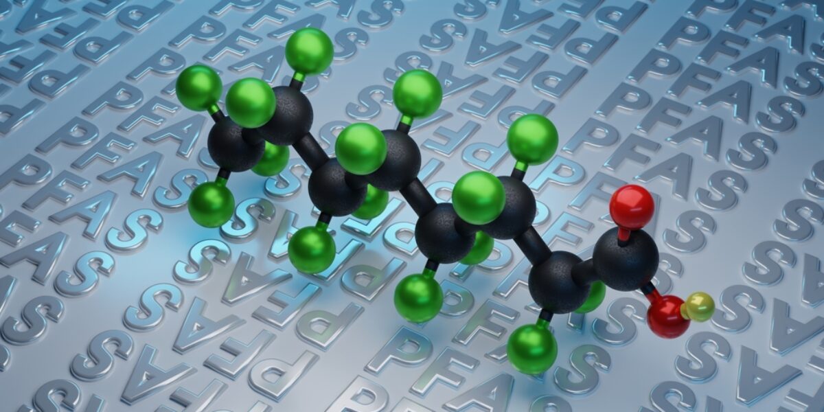 Study shows probiotics could help remove “Forever Chemicals” from the body