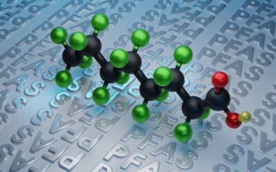 Study shows probiotics could help remove “Forever Chemicals” from the body