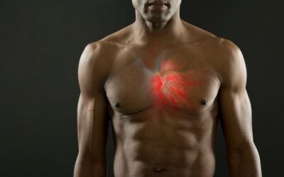 How Vitamin K2 Supports Powerful Cardiovascular Regeneration