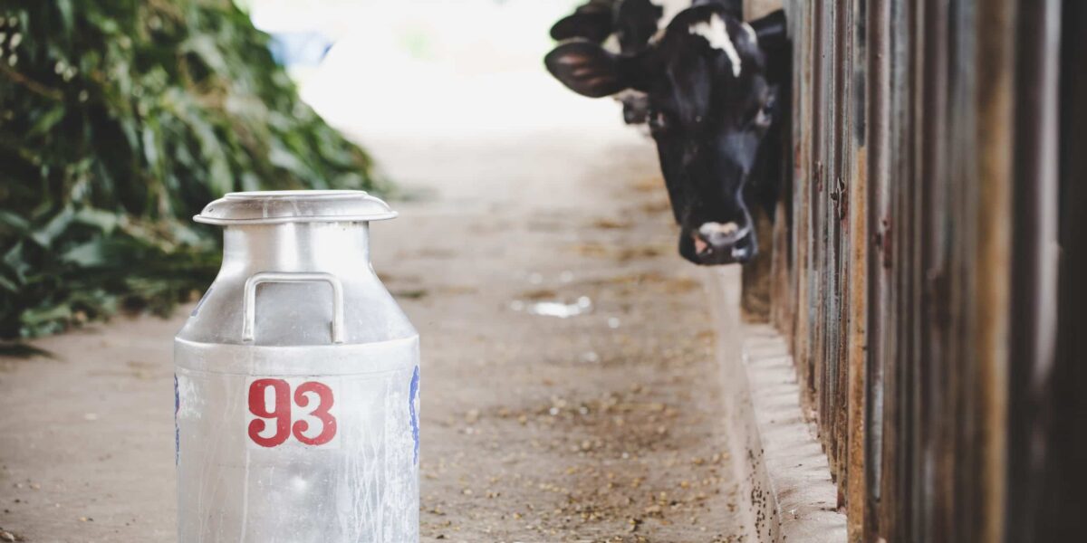 Michigan Lawmakers Introduce Bills to Legalize Raw Milk