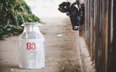 Michigan Lawmakers Introduce Bills to Legalize Raw Milk