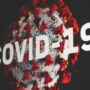 Male Fertility After COVID 19 The Hidden Toll of the Pandemic