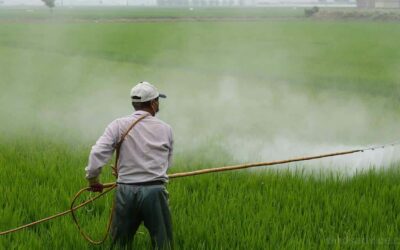 New Forever Chemical Pesticides Move Forward Under EPA Oversight