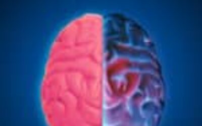 Why the Human Brain Falters After Midnight, According to Neuroscientists