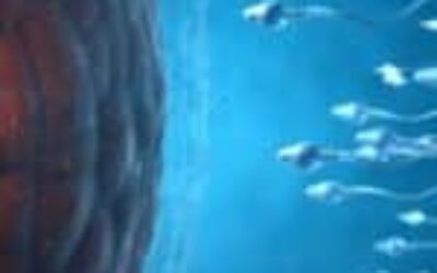 Your Sperm Declines With Age and This Is When the Trouble Begins