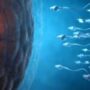 Your Sperm Declines With Age and This Is When the Trouble Begins