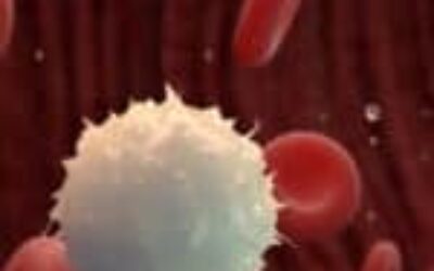 How a Living Drug Changed the Outlook for Patients With Incurable Blood Cancer